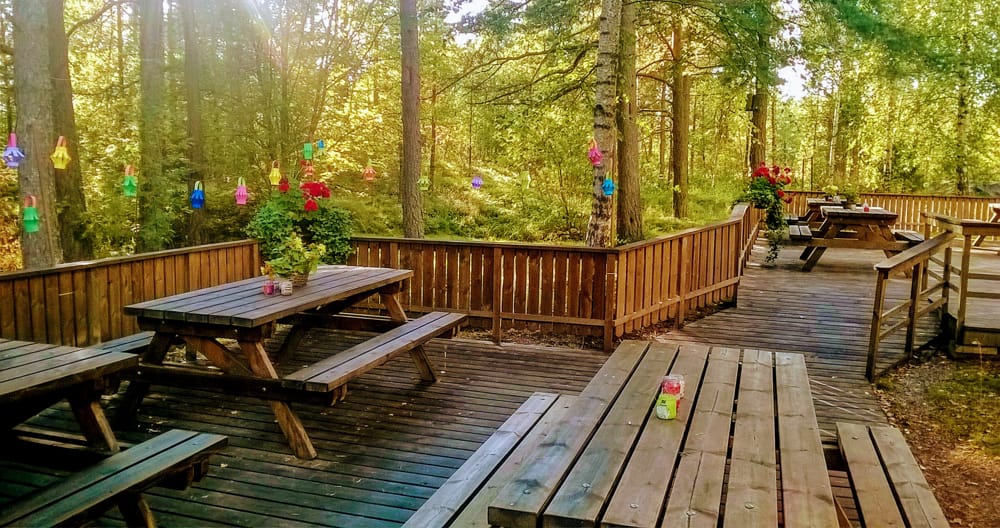 Kuva Ykköskoti Ketunkallion terassilta, penkkejä, aitaa, vehreitä puita